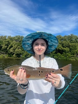 Fishing in Tarpon Springs, Florida