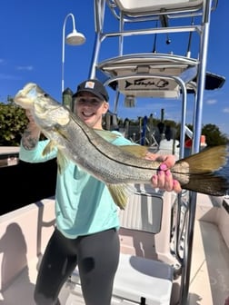 Fishing in Sarasota, Florida