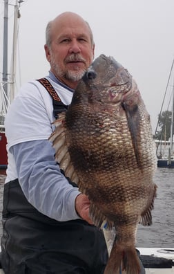 Sheepshead Fishing in Biloxi, Mississippi, USA