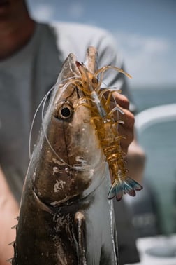 Fishing in Virginia Beach, Virginia