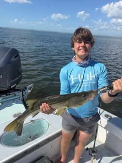 Fishing in Holmes Beach, Florida