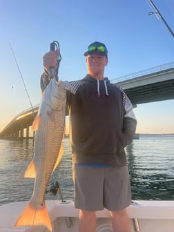 Fishing in Orange Beach, Alabama