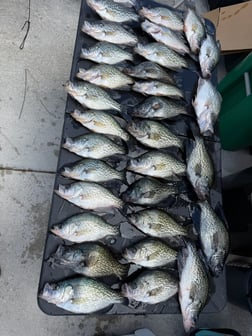 Fishing in Port St. Lucie, Florida