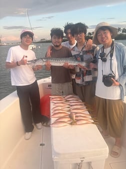 Fishing in Miami, Florida