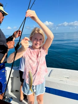 Blackfin Tuna fishing in Naples, Florida