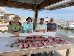 Fishing in Pensacola, Florida