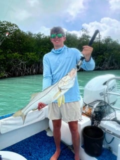 Fishing in Islamorada, Florida