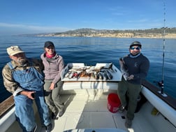 Fishing in Long Beach, California