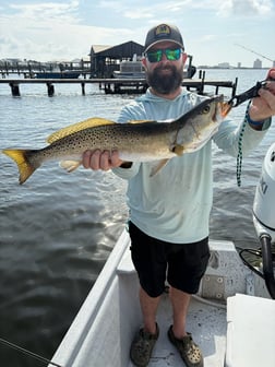 Fishing in Orange Beach, Alabama