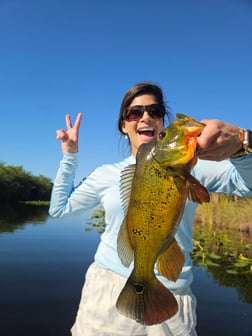 Hunting in Fort Lauderdale, Florida