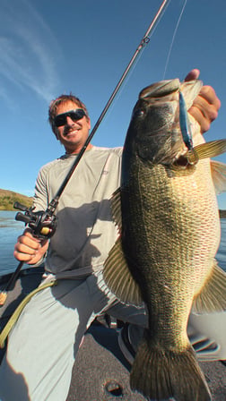 Fishing in Los Angeles, California