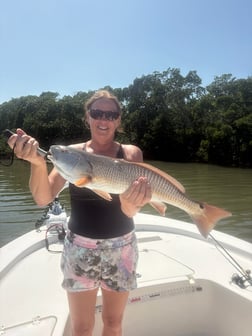 Fishing in Largo, Florida