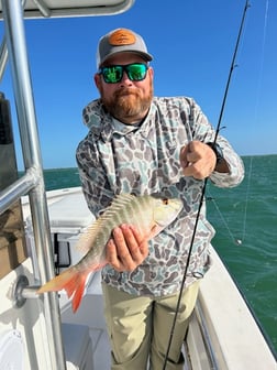Fishing in Big Pine Key, Florida