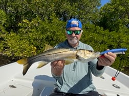 Fishing in St. Petersburg, Florida