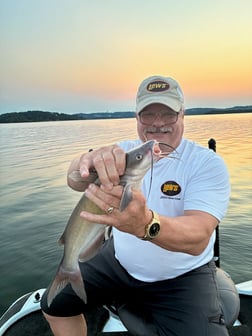 Fishing in Cape Fair, Missouri