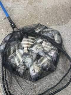 Fishing in St. Augustine, Florida