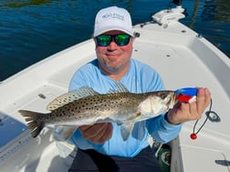 Fishing in St. Petersburg, Florida