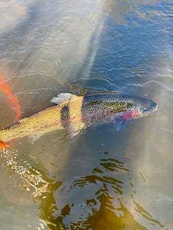 Fishing in Hume, California