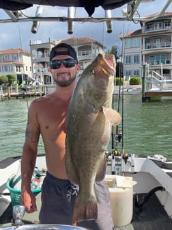 Fishing in St. Petersburg, Florida
