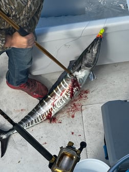 Fishing in Arcadia, Florida