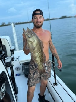 Fishing in St. Petersburg, Florida