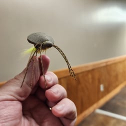 Fishing in Alba, Texas