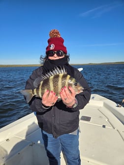 Fishing in Crawfordville, Florida