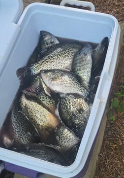 Fishing in Baytown, Texas