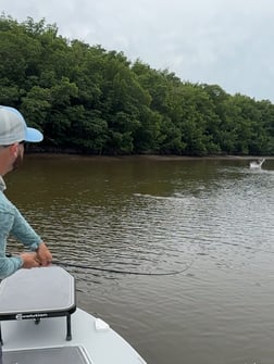 Fishing in Everglades City, Florida