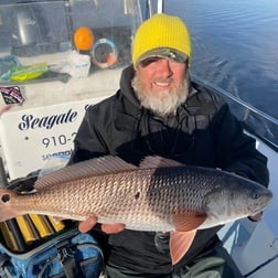 Striped Bass Fishing in Trails End Road, Wilmington, N, North Carolina