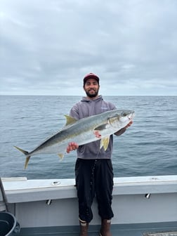 Fishing in Marina del Rey, California