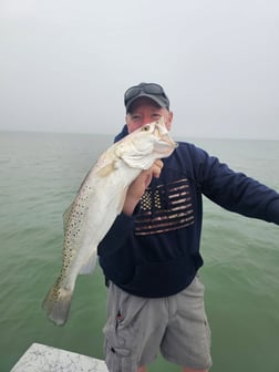 Fishing in Yankeetown, Florida