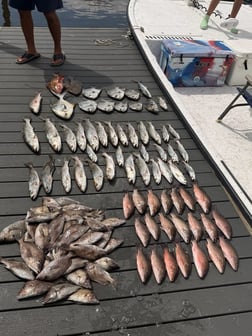 Fishing in Crystal River, Florida