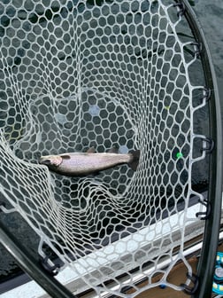 Fishing in Heber Springs, Arkansas