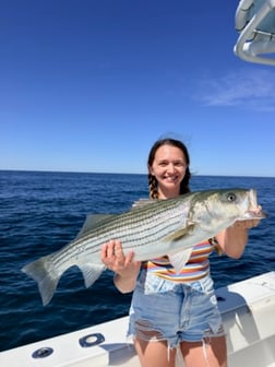 Fishing in Truro, Massachusetts