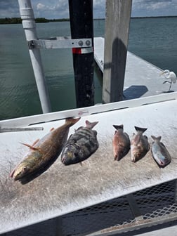 Fishing in Fort Myers Beach, Florida