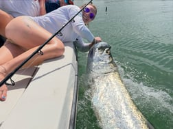 Fishing in Indian Rocks Beach, Florida