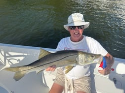 Fishing in St. Petersburg, Florida