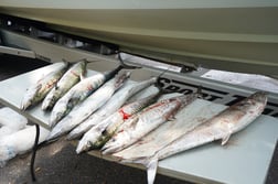 Fishing in Fernandina Beach, Florida