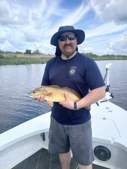 Fishing in Lafitte, Louisiana