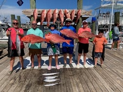 Fishing in Orange Beach, Alabama