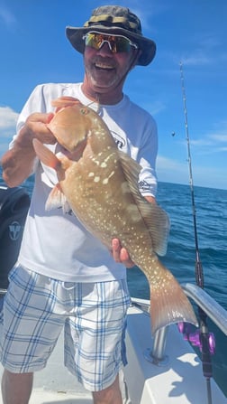 Fishing in Sarasota, Florida