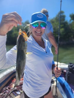 Fishing in Fort Myers Beach, Florida