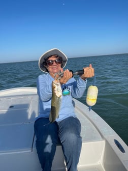 Fishing in South Padre Island, Texas