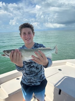 Fishing in Sarasota, Florida