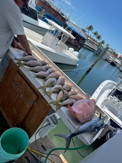 Fishing in Key West, Florida