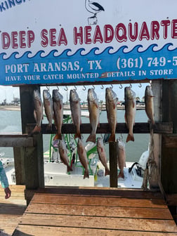 Fishing in Port Aransas, Texas