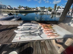 Fishing in Islamorada, Florida