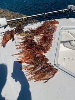 Fishing in Key West, Florida