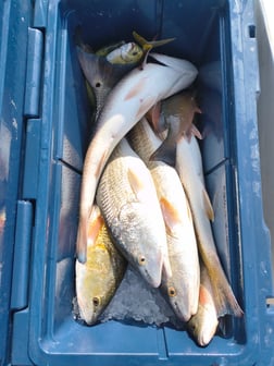 Fishing in Panama City, Florida